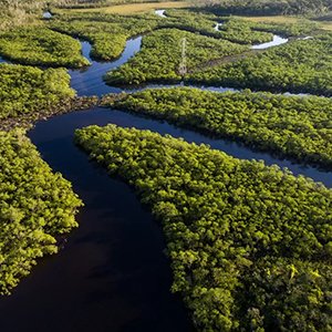 A Grandeza da Região Amazônica