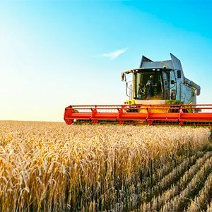 A Força do Agronegócio Brasileiro